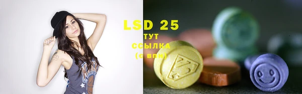 индика Алексин