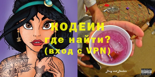 хмурый Алзамай