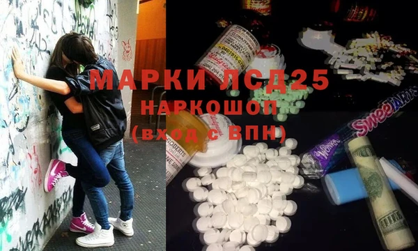 хмурый Алзамай