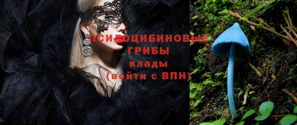 индика Алексин