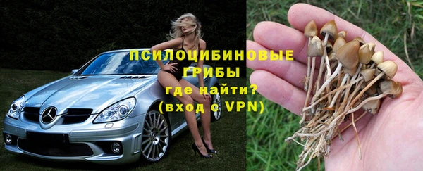 индика Алексин