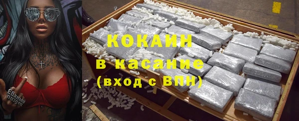индика Алексеевка