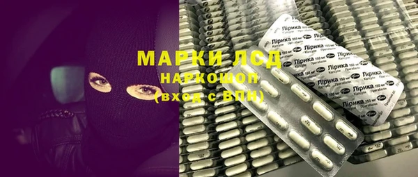 индика Алексин
