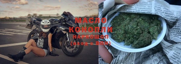 хмурый Алзамай
