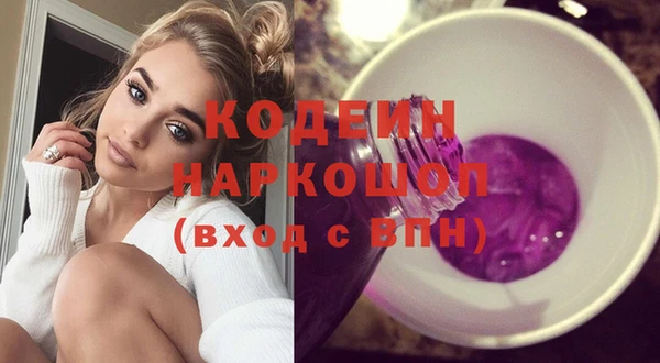 хмурый Алзамай