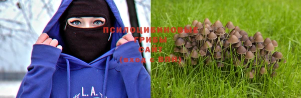 марки lsd Абинск