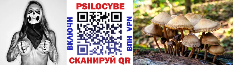 Псилоцибиновые грибы MAGIC MUSHROOMS  Сарапул 