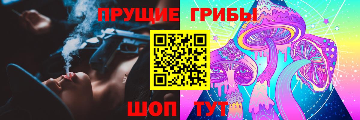 Псилоцибиновые грибы Psilocybe Сарапул