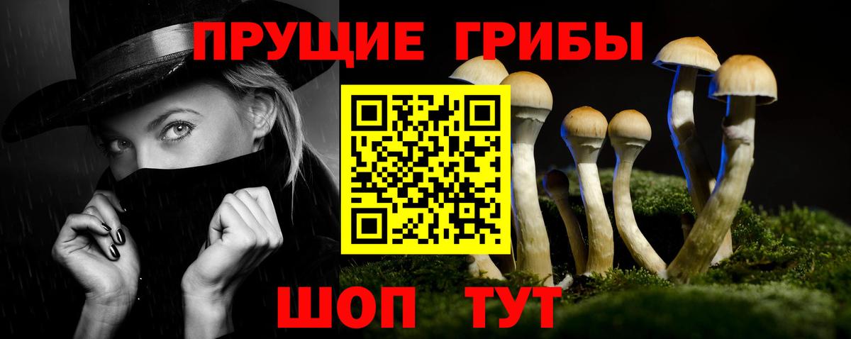 Сарапул  Галлюциногенные грибы прущие грибы  Вход с VPN 