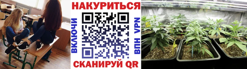 наркотики  Сарапул  Марихуана гибрид 